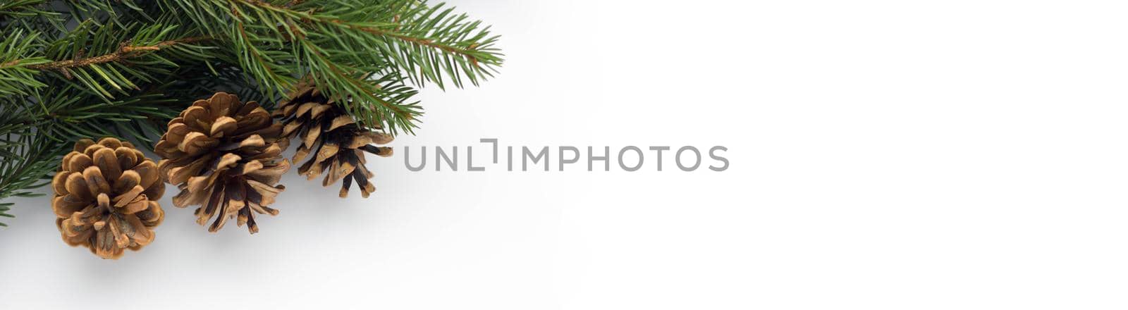 Christmas panorama: fresh pine branches with cones on a white background. View from above. place for your text by lapushka62