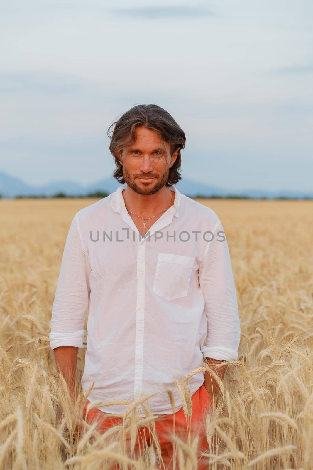 The handsome brutal young man with long brunette hairs poses in the field with wheat, suntanned man, easy beard, sunset light, white shirt, rye field. High quality photo