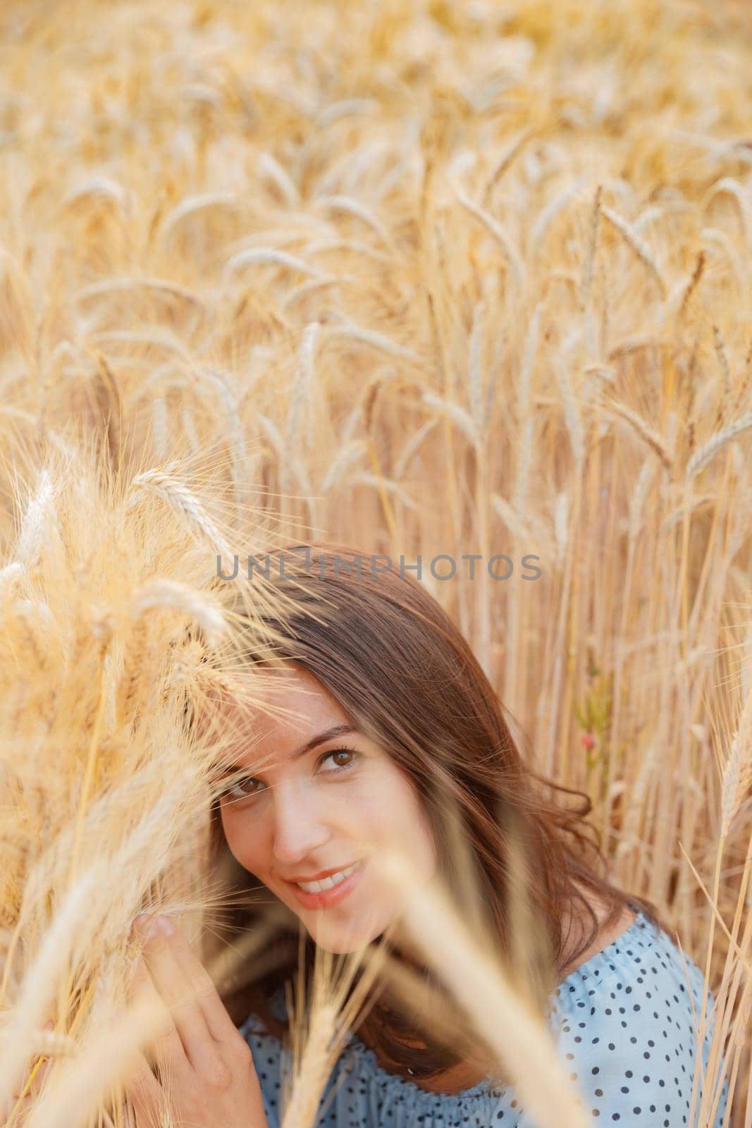 The beautiful young girl with long brunette hairs poses in the field with wheat at sunset, she rejoices in a spikelet of wheat, she is smiling and flirting, light blue dress, France, Provence. High quality photo