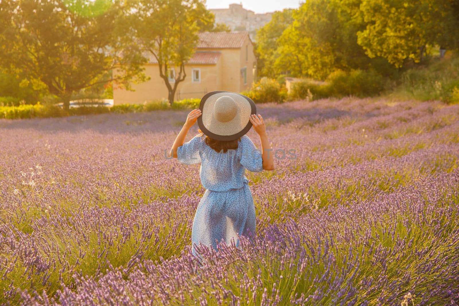 The girl with her back to us in a blue dress and cap walks across the field of a lavender flowers at sunset, she is holding on to her hat, long hair, a house of the gardener in the background. High quality photo