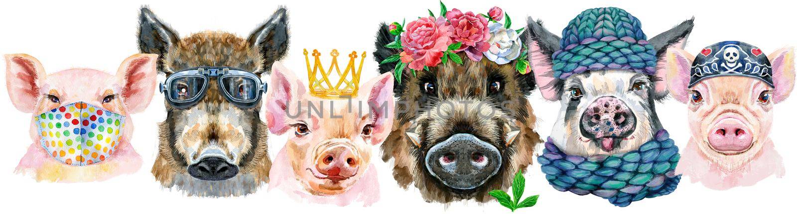 Cute border from watercolor portraits of pigs. Watercolor illustration of pigs in wreath of peonies, winter hat, medical protective mask, glasses, bandana and golden crown