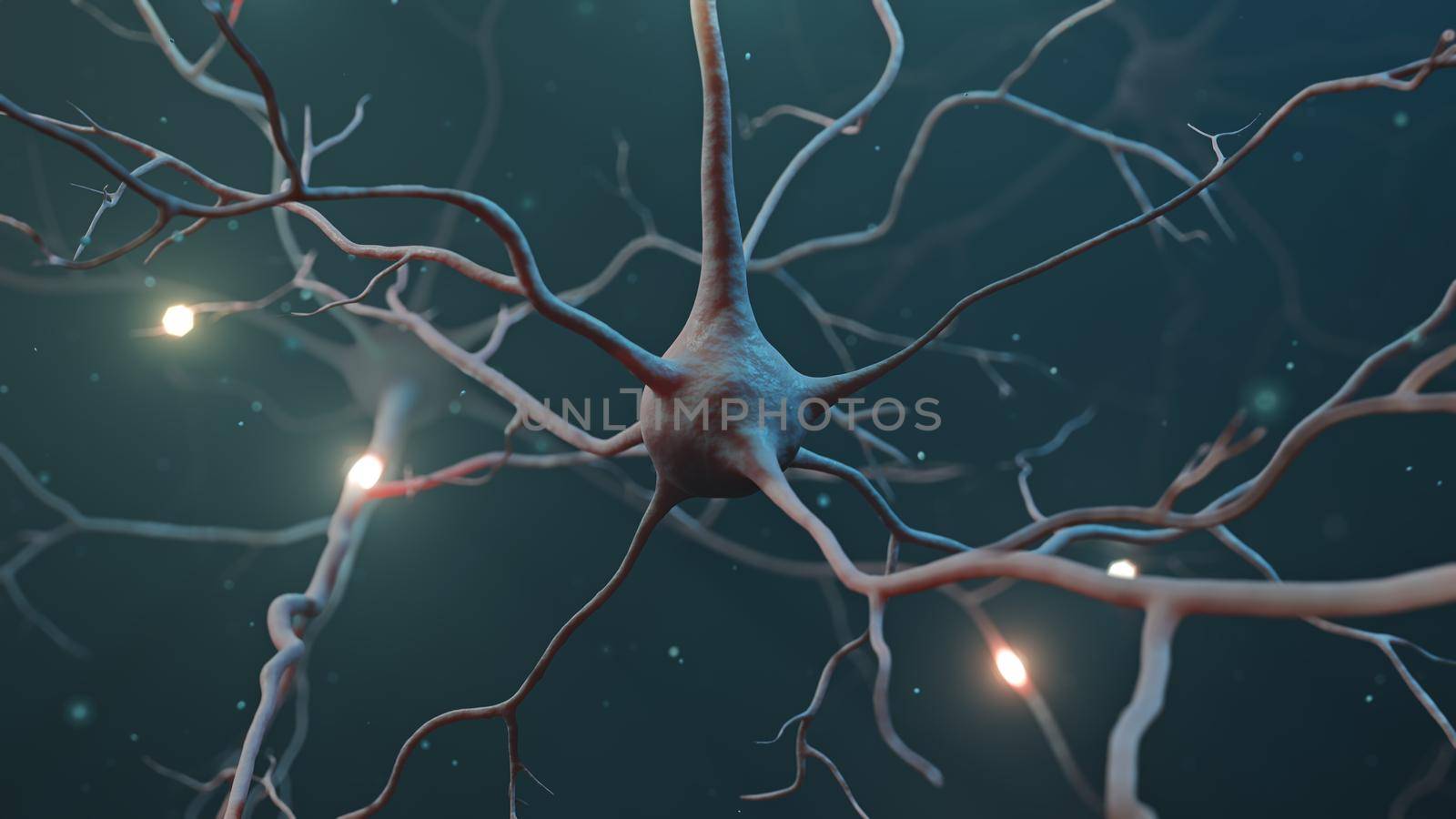 Neuron cluster signal transfer inside human brain