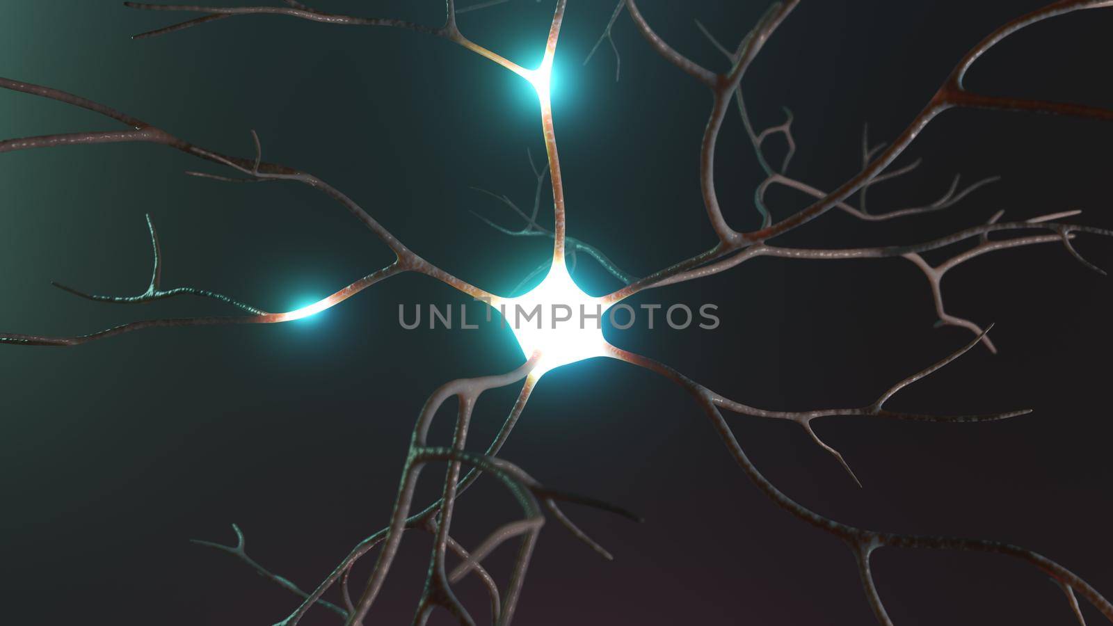 Neuron cluster signal transfer inside human brain