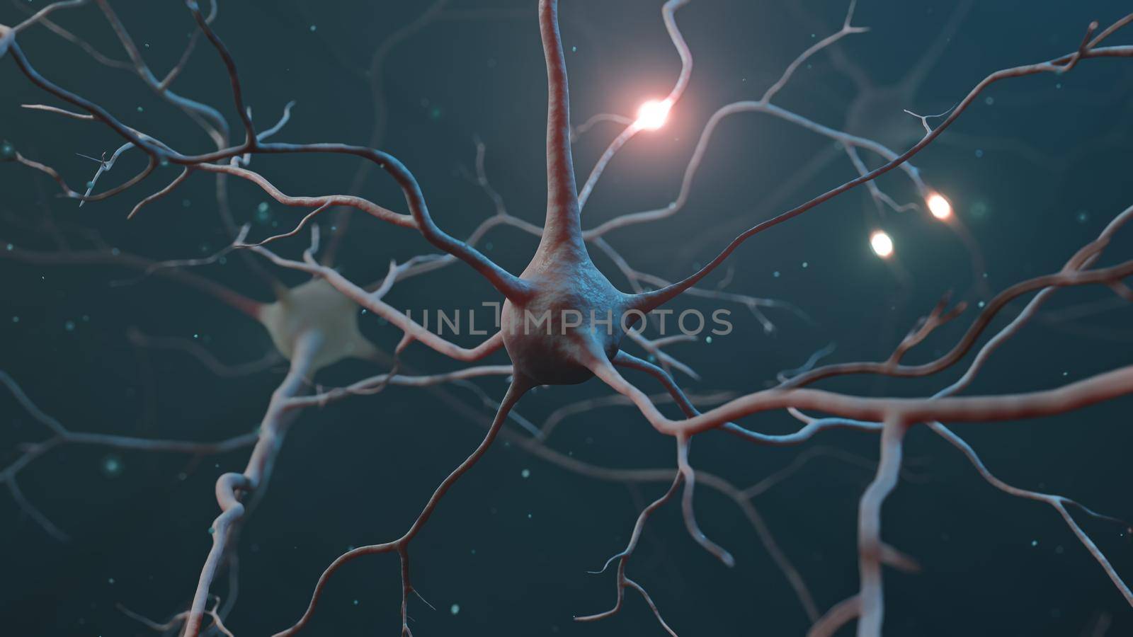 Neuron cluster signal transfer inside human brain