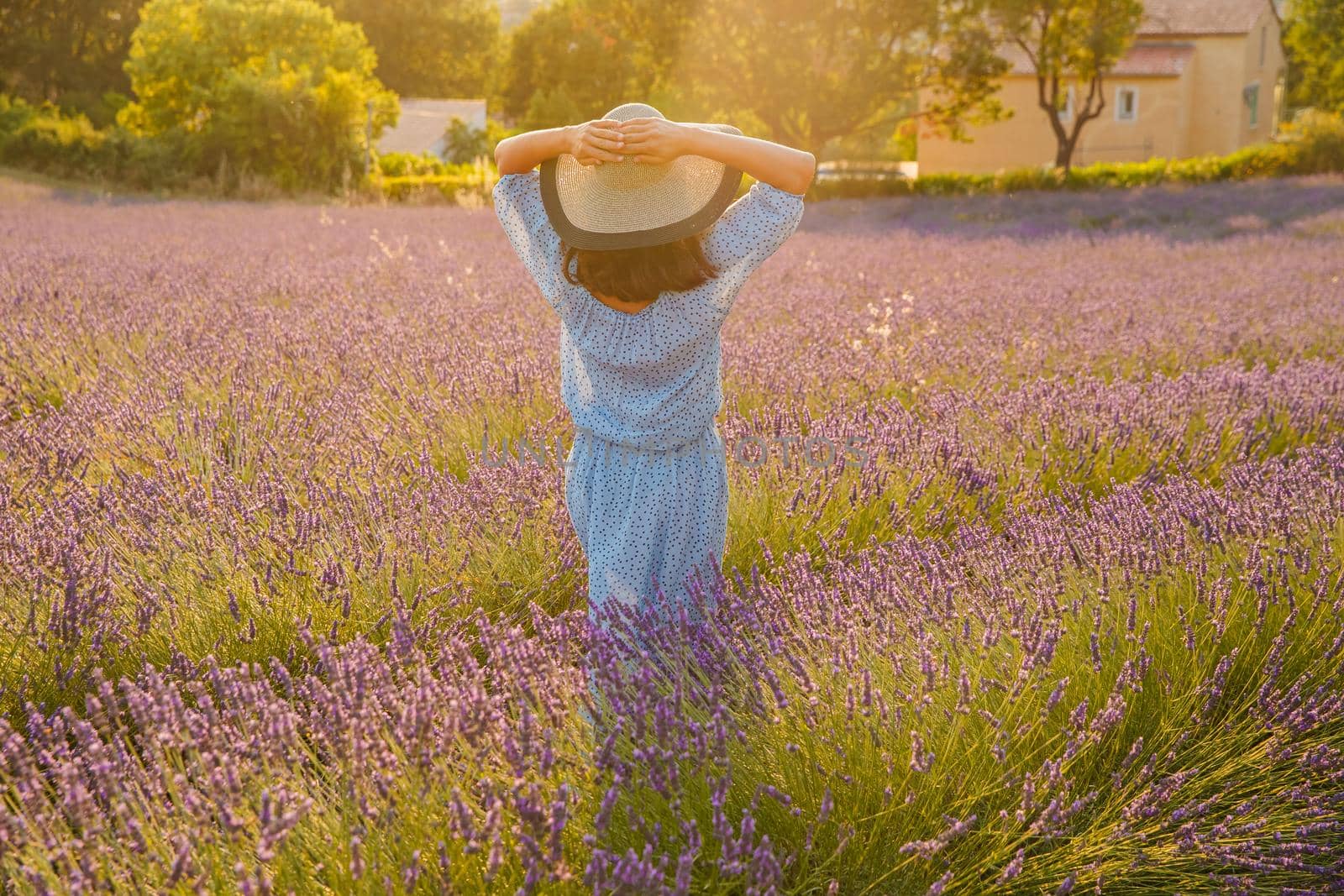 The girl with her back to us in a blue dress and cap walks across the field of a lavender flowers at sunset, she is holding on to her hat, long hair, a house of the gardener in the background by vladimirdrozdin