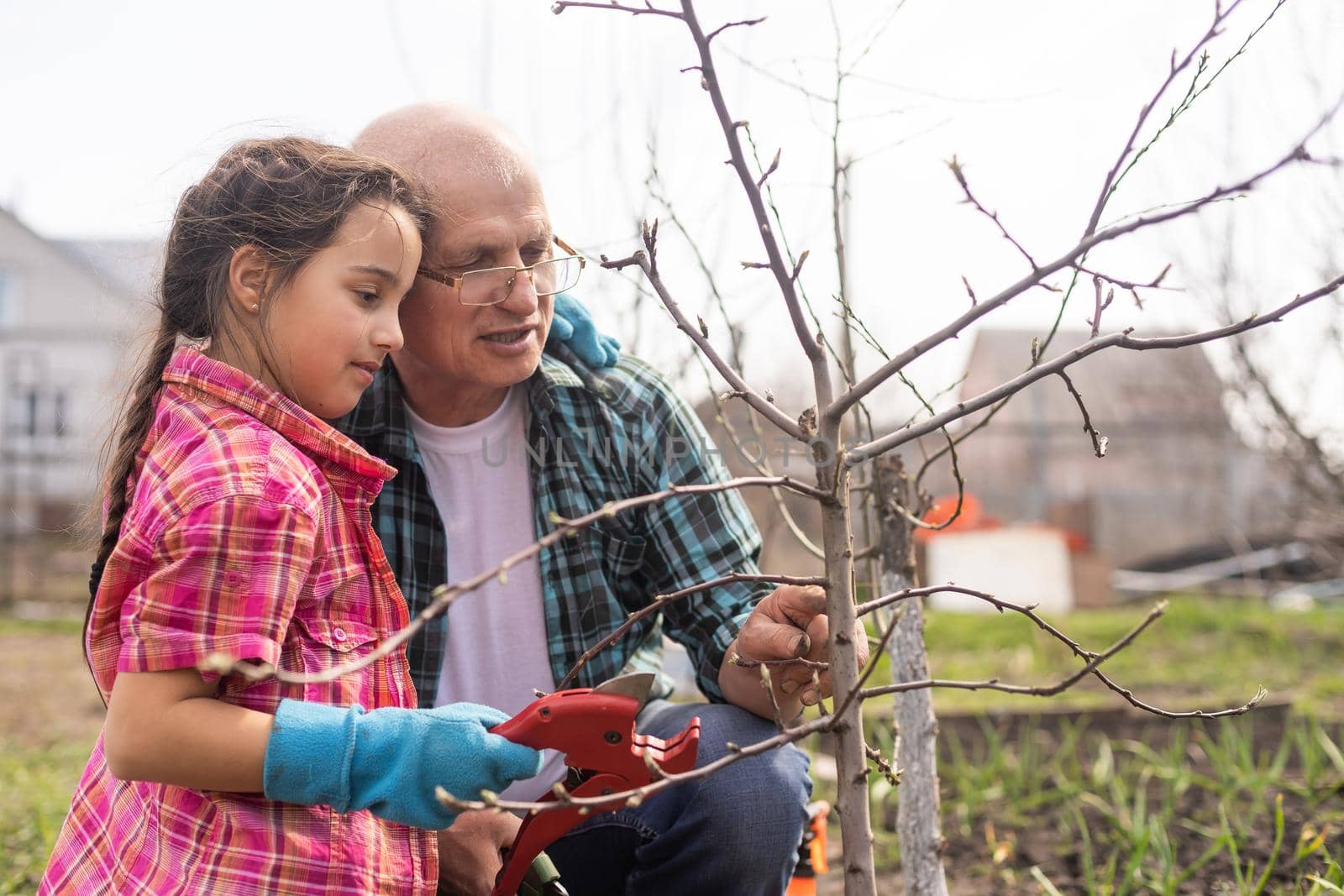 Small girl with senior grandfather in the backyard garden, gardening by Andelov13