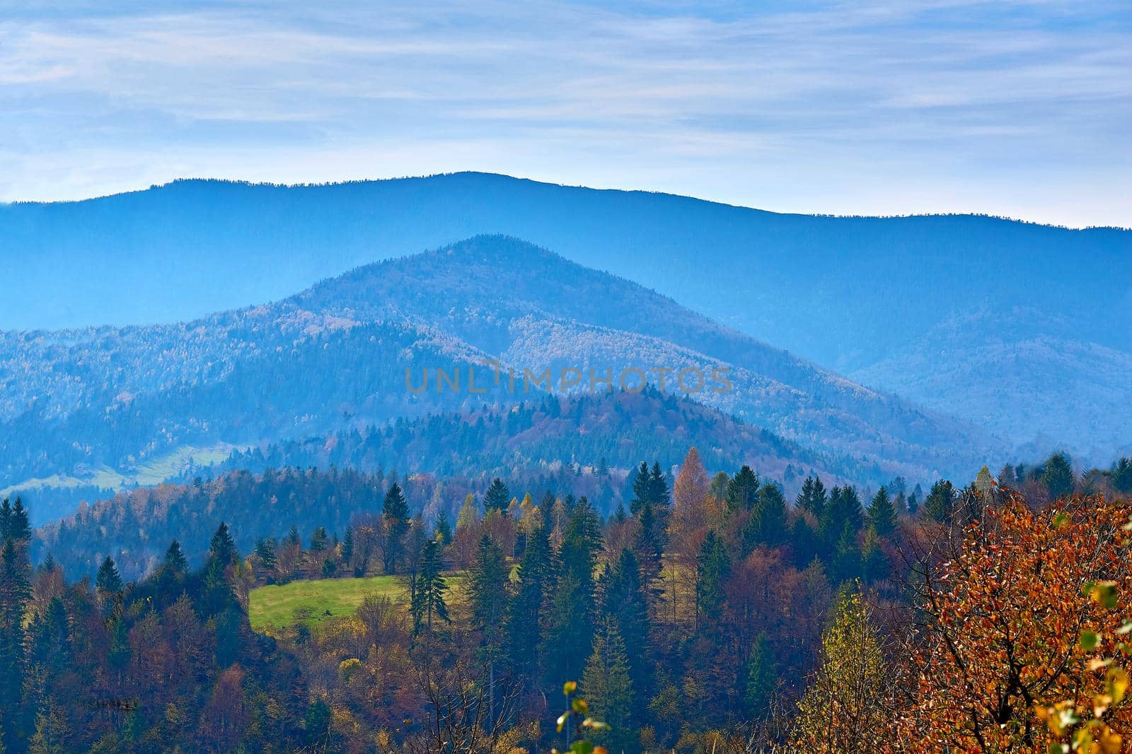 Mountain range in autumn colors and blue sky.National park Karpaty Ukraine by jovani68