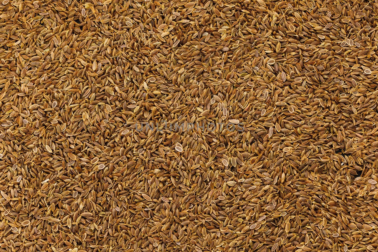 dry dill seeds on flat surface, flat texture and full-frame background by z1b
