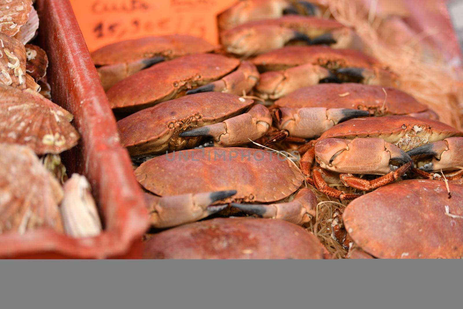 Raw of crabs at the market