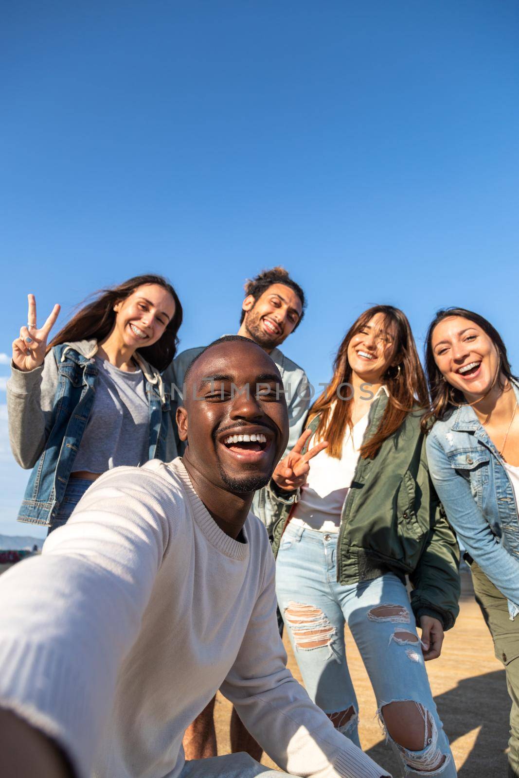 Smiling multiracial friends take selfie looking at camera. Copy space. Vertical image. Friendship and social media concept.
