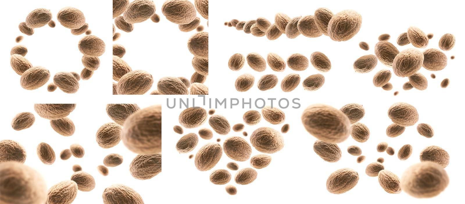 A set of photos. Ripe nutmegs levitate on a white background.