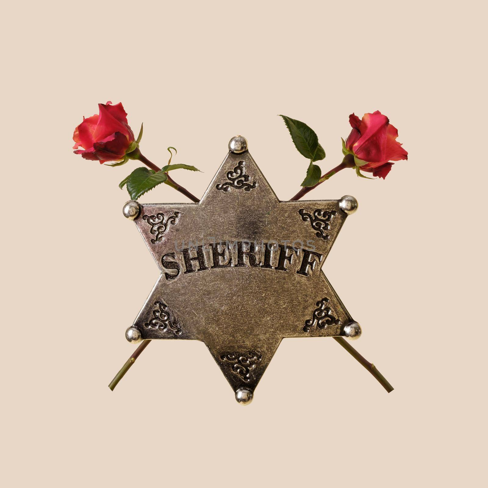 Sheriff star and roses concept of wild west law enforcement police detective and love and holiday.
