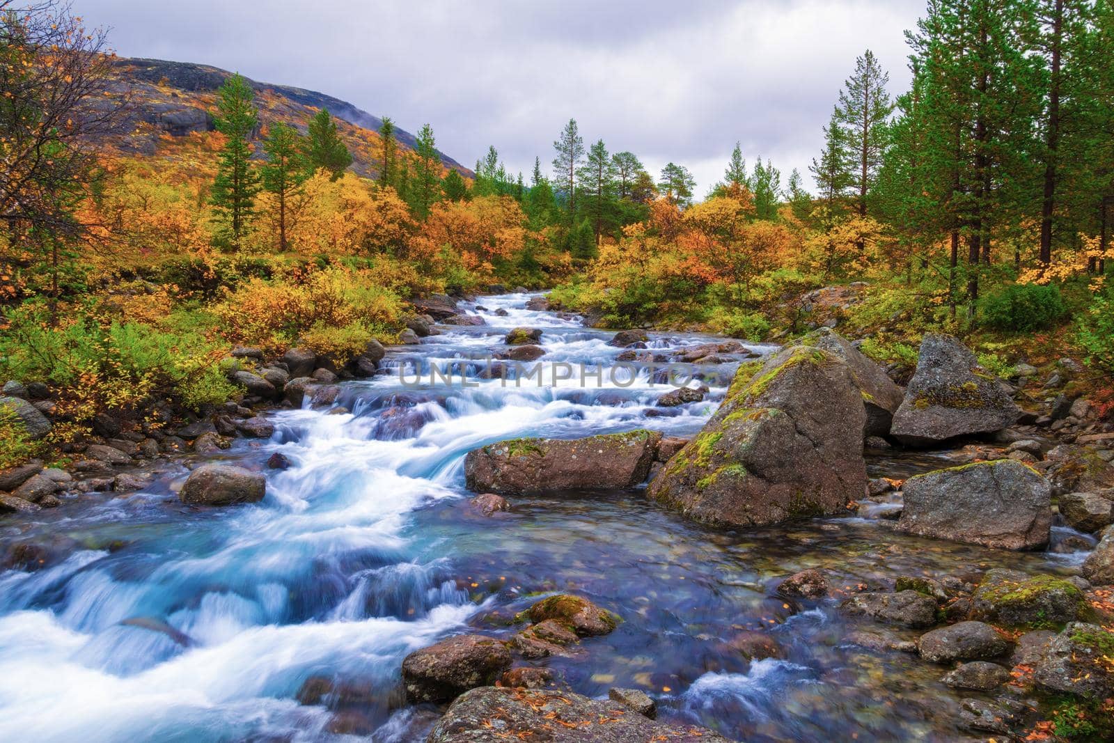 River in the Khibiny mountains in autumn. Autumn landscape.