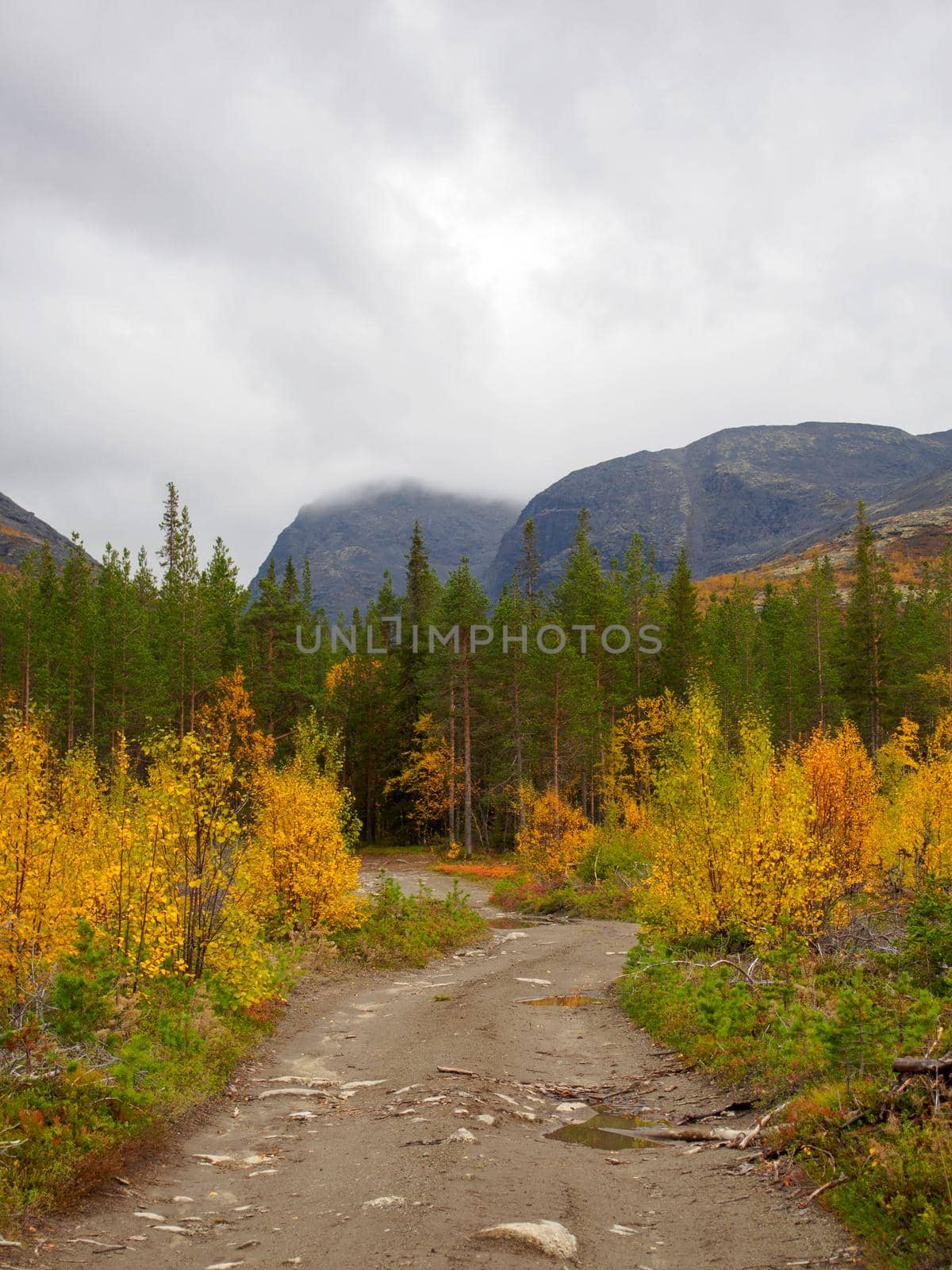 The road among the blooming tundra in autumn is a gloomy landscape of the Khibiny Mountains. photo