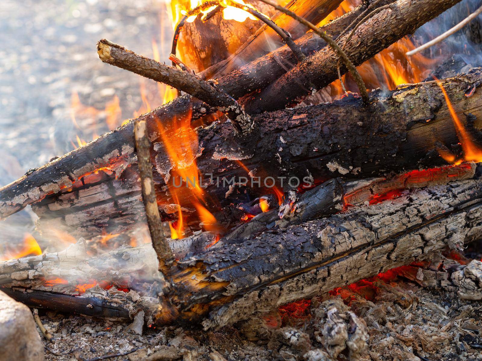 bonfire in the evening summer forest. High quality photo