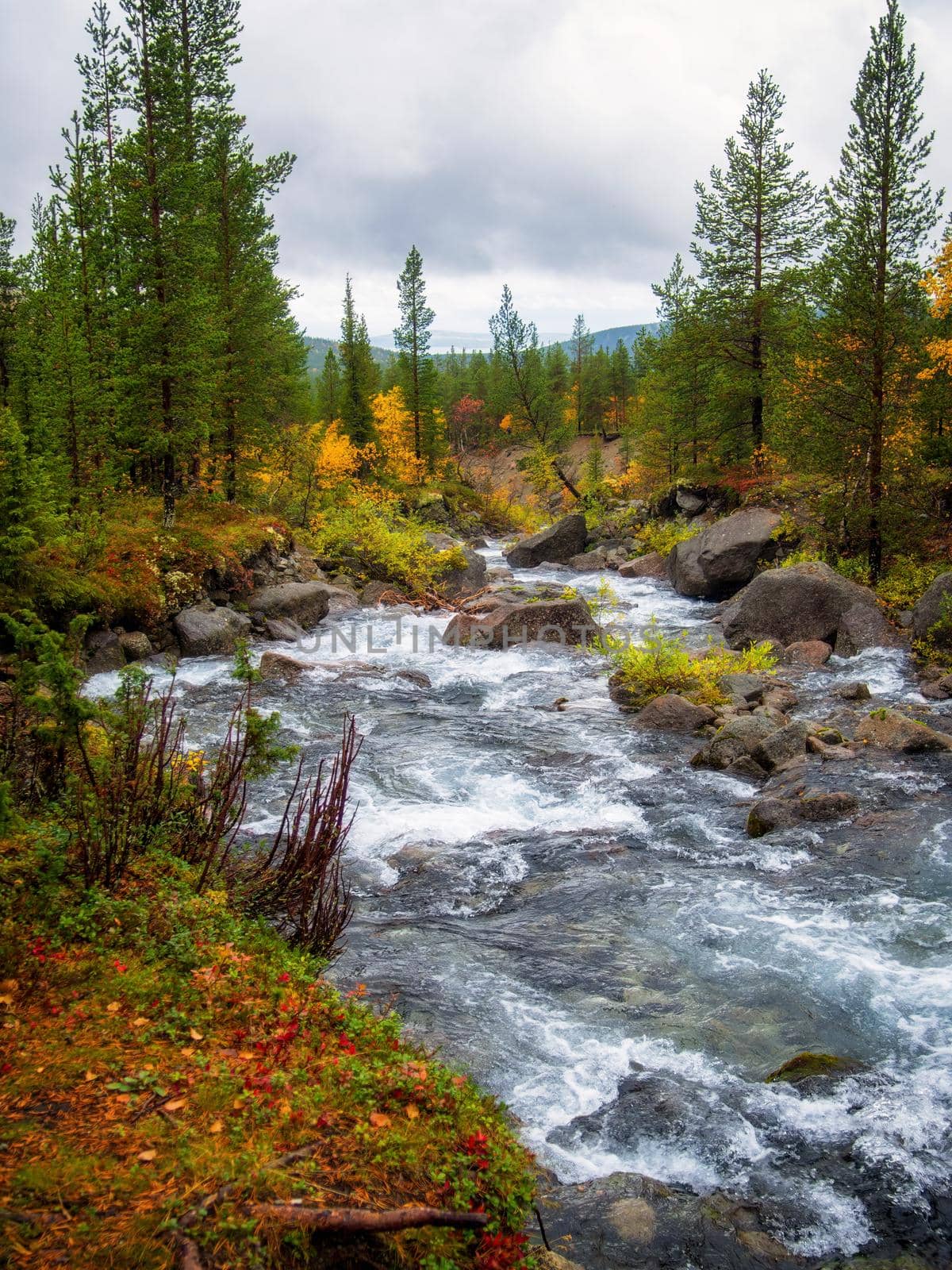 River in the Khibiny mountains in autumn. Autumn landscape by Andre1ns