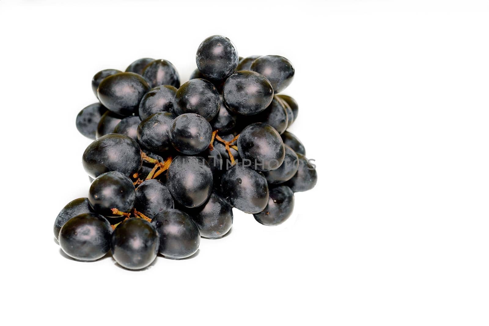 Isolated bunch cluster of black ripe grapes for wine on clean white space by jovani68