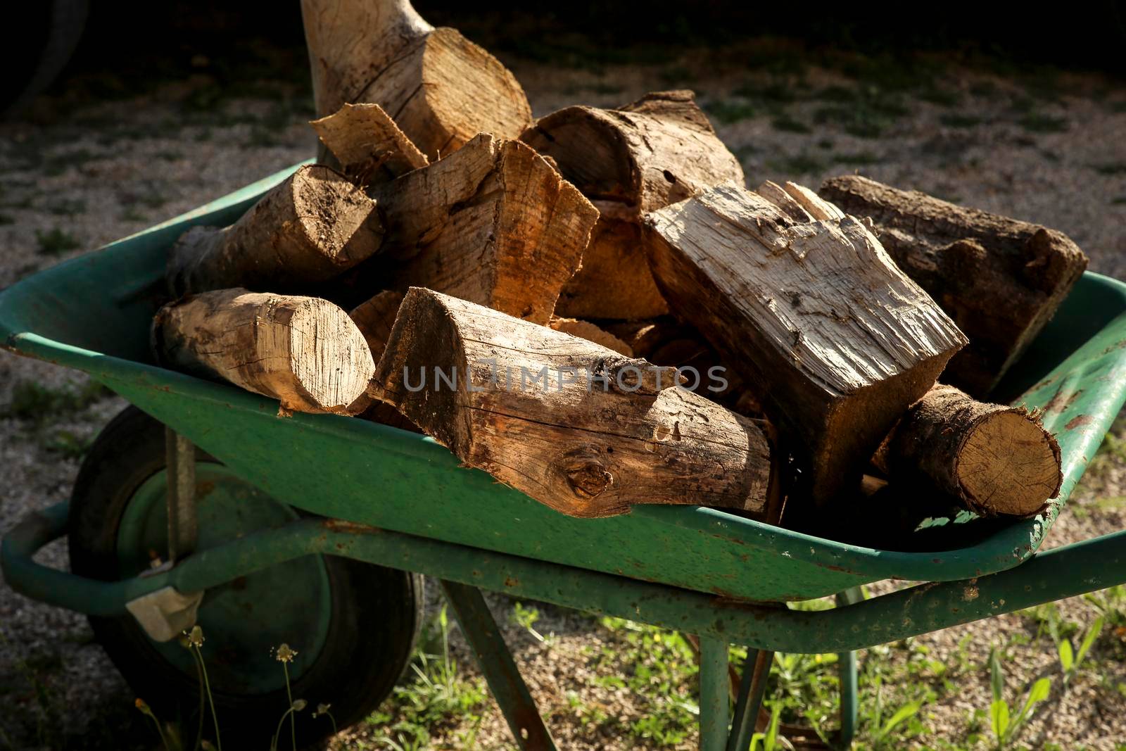 Old green wheelbarrow plenty of tree wood logs in the countryside