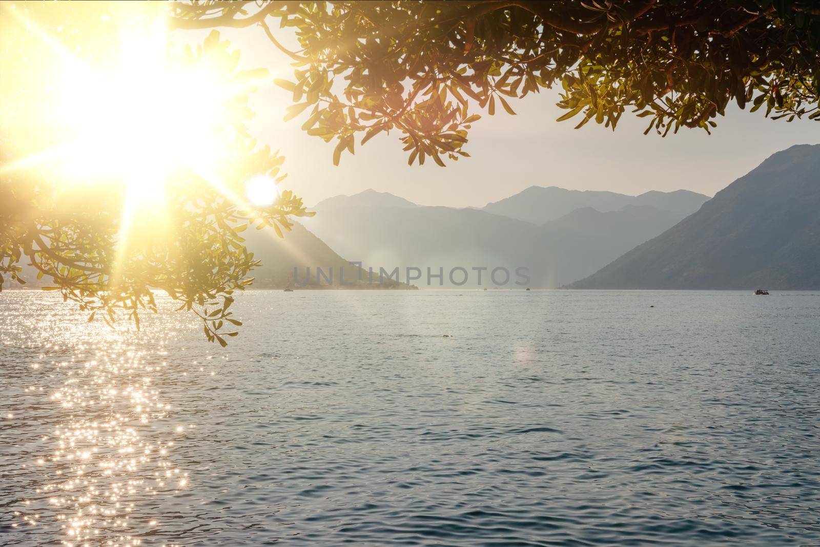 Sunset, beautiful landscape with silhouettes of trees. Travel concept. Montenegro, Kotor Bay. Sunset at Kotor Bay Montenegro. View of the sunset in Boko-Kotor Bay in Montenegro. Silhouettes of mountains. High quality photo