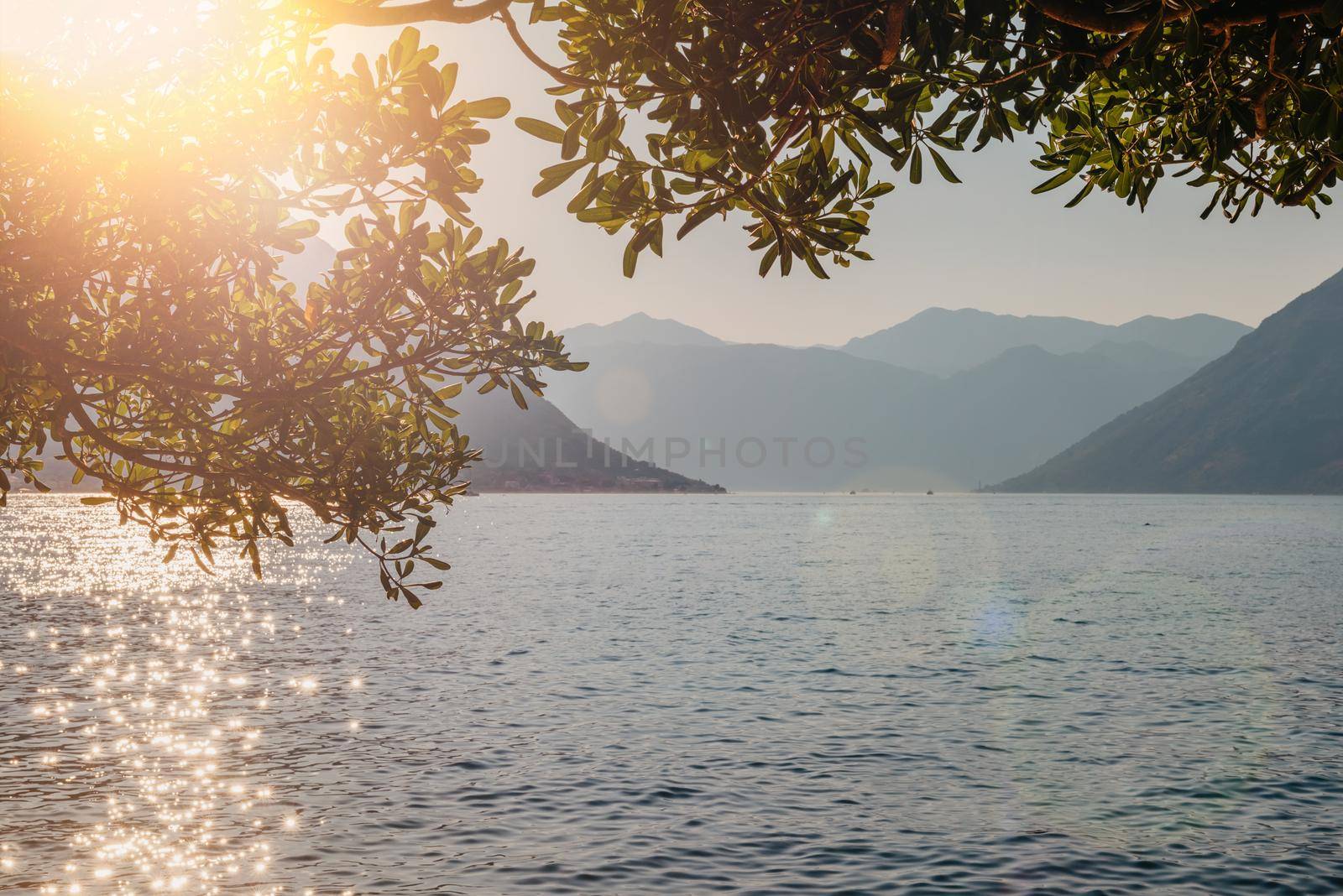 Sunset, beautiful landscape with silhouettes of trees. Travel concept. Montenegro, Kotor Bay. Sunset at Kotor Bay Montenegro. View of the sunset in Boko-Kotor Bay in Montenegro. Silhouettes of mountains. High quality photo