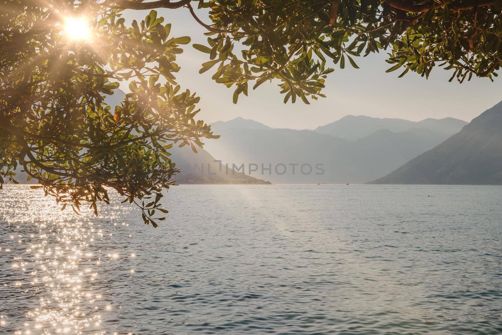 Sunset, beautiful landscape with silhouettes of trees. Travel concept. Montenegro, Kotor Bay. Sunset at Kotor Bay Montenegro. View of the sunset in Boko-Kotor Bay in Montenegro. Silhouettes of mountains. High quality photo