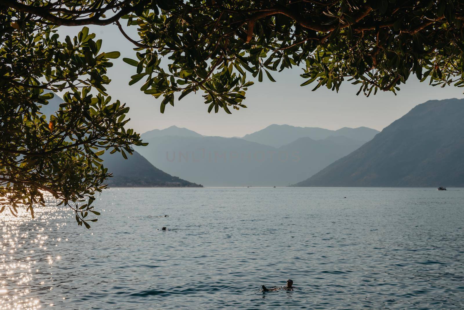 Sunset, beautiful landscape with silhouettes of trees. Travel concept. Montenegro, Kotor Bay. Sunset at Kotor Bay Montenegro. View of the sunset in Boko-Kotor Bay in Montenegro. Silhouettes of mountains. High quality photo by Andrii_Ko