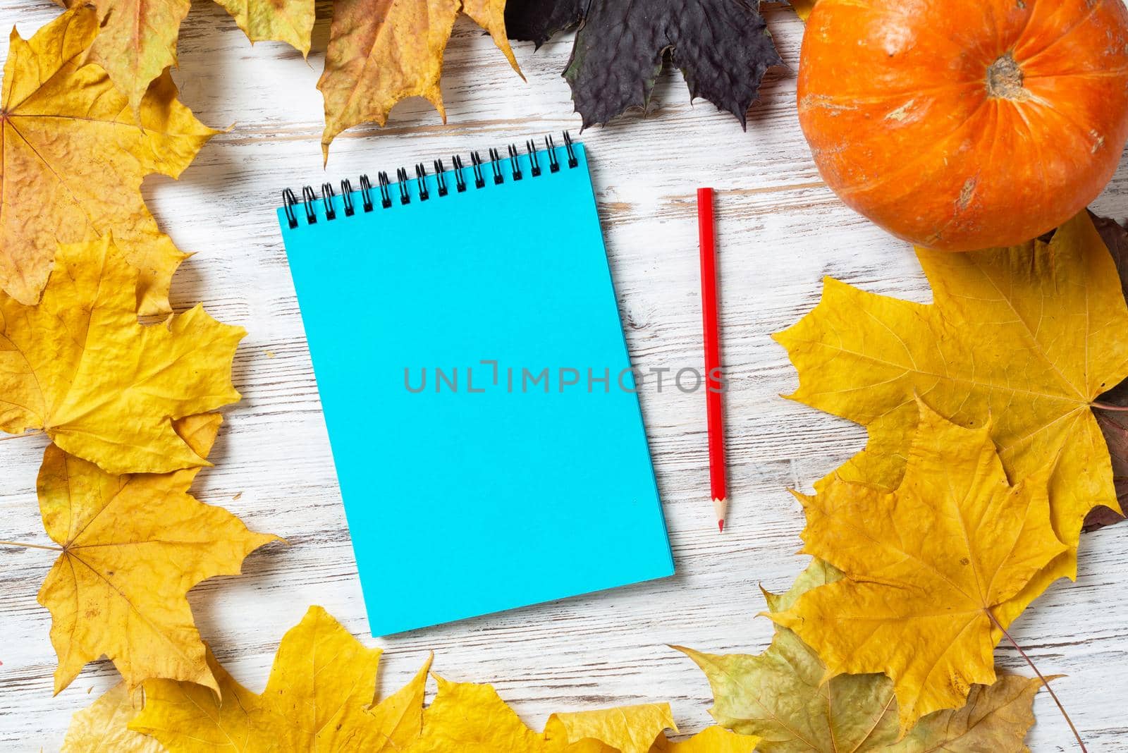 Spiral notepad with pencil and ripe pumpkins by adam121