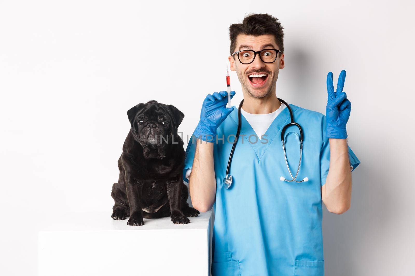 Handsome doctor veterinarian holding syringe and standing near cute black pug, vaccinating dog, white background.