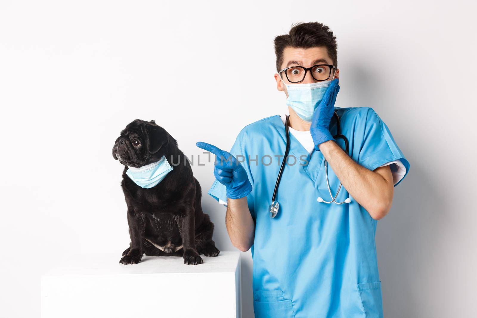 Cute black pug dog in face mask looking left at promo banner while doctor in veterinarian clinic pointing finger, standing over white background by Benzoix