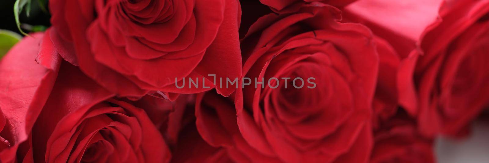 Closeup of large bouquet of red roses background by kuprevich