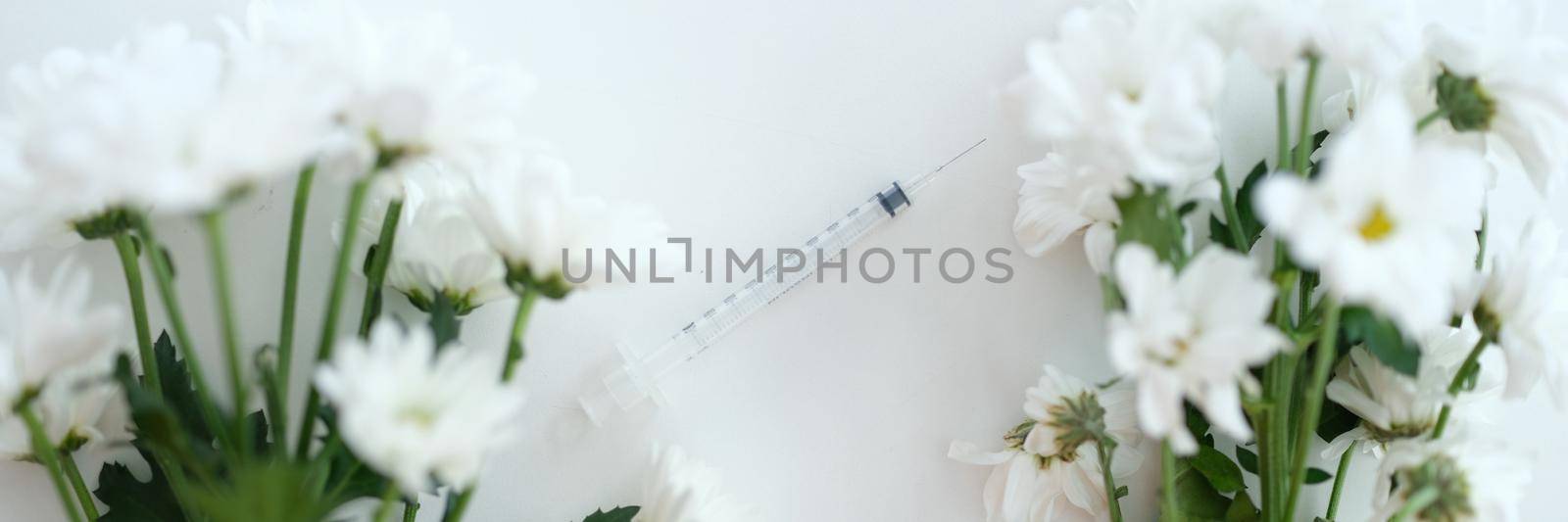 Two branches of white chrysanthemums in middle of syringe with needle. Scientific medicine injection medicine and rejuvenation in cosmetology concept