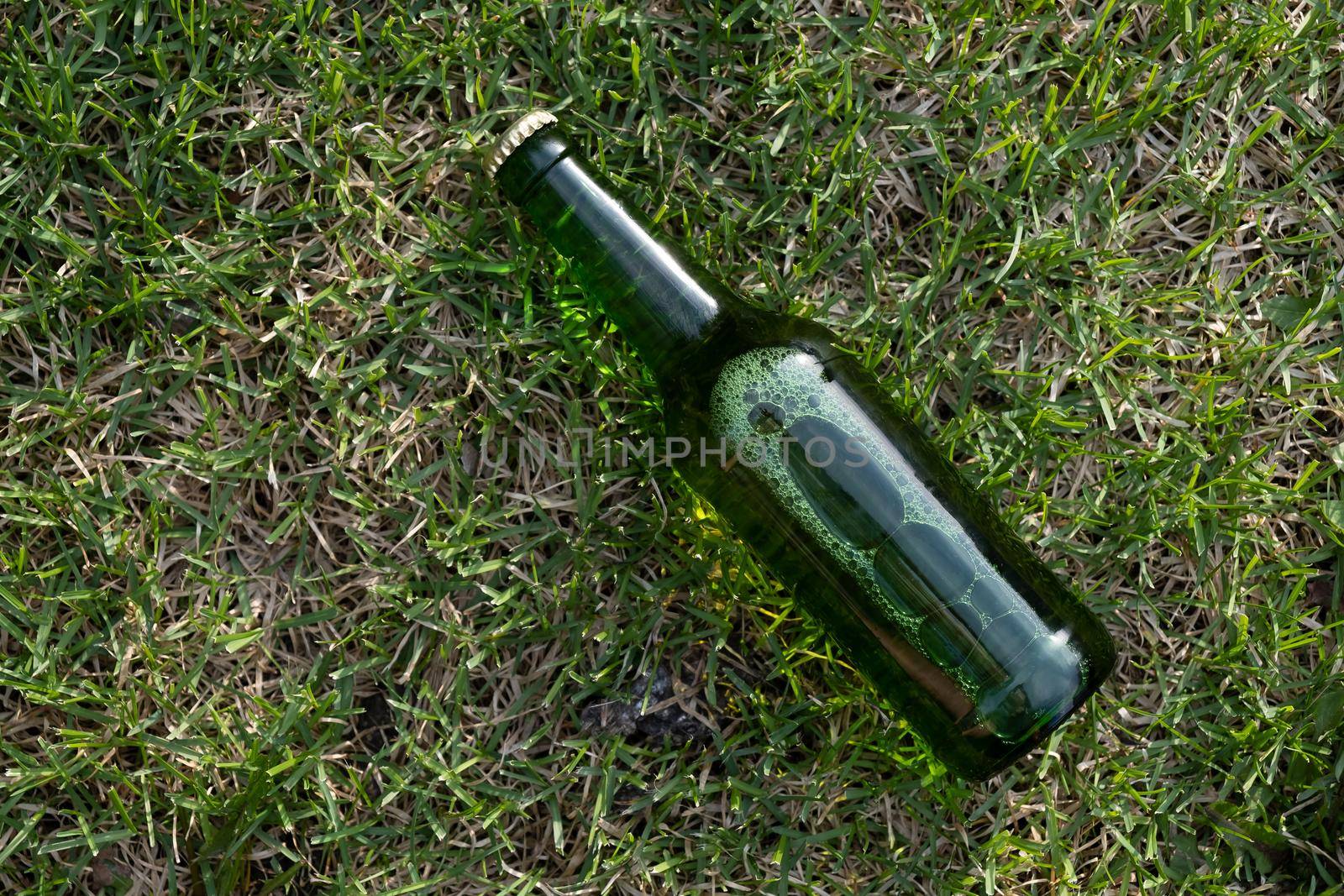 Green glass bottle of beer on the grass.