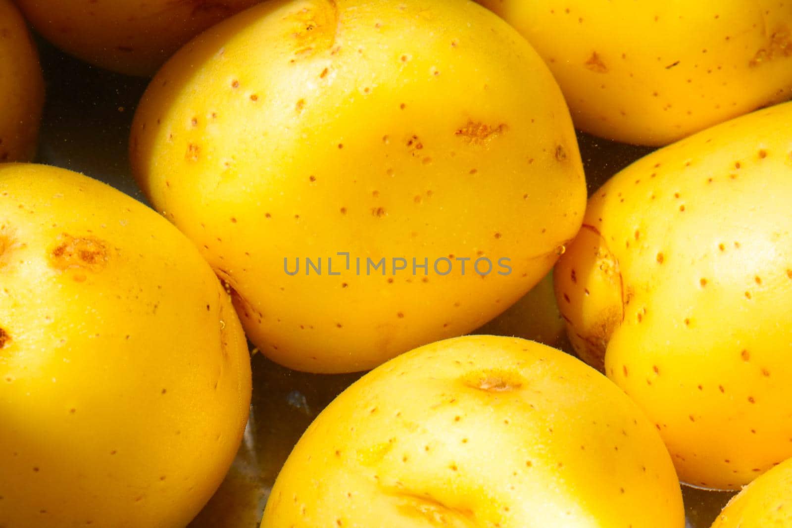 Yellow fresh potatoes are boiled in water