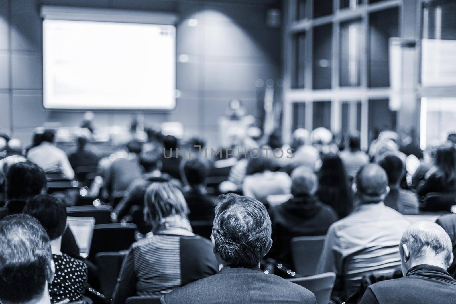 Business and entrepreneurship symposium. Speaker giving a talk at business meeting. Audience in the conference hall. Rear view of unrecognized participant in audience.