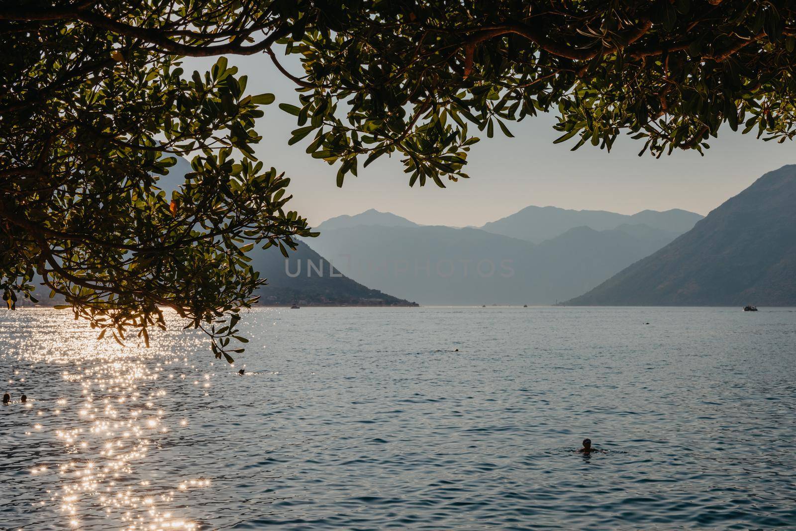 Sunset, beautiful landscape with silhouettes of trees. Travel concept. Montenegro, Kotor Bay. Sunset at Kotor Bay Montenegro. View of the sunset in Boko-Kotor Bay in Montenegro. Silhouettes of mountains. High quality photo