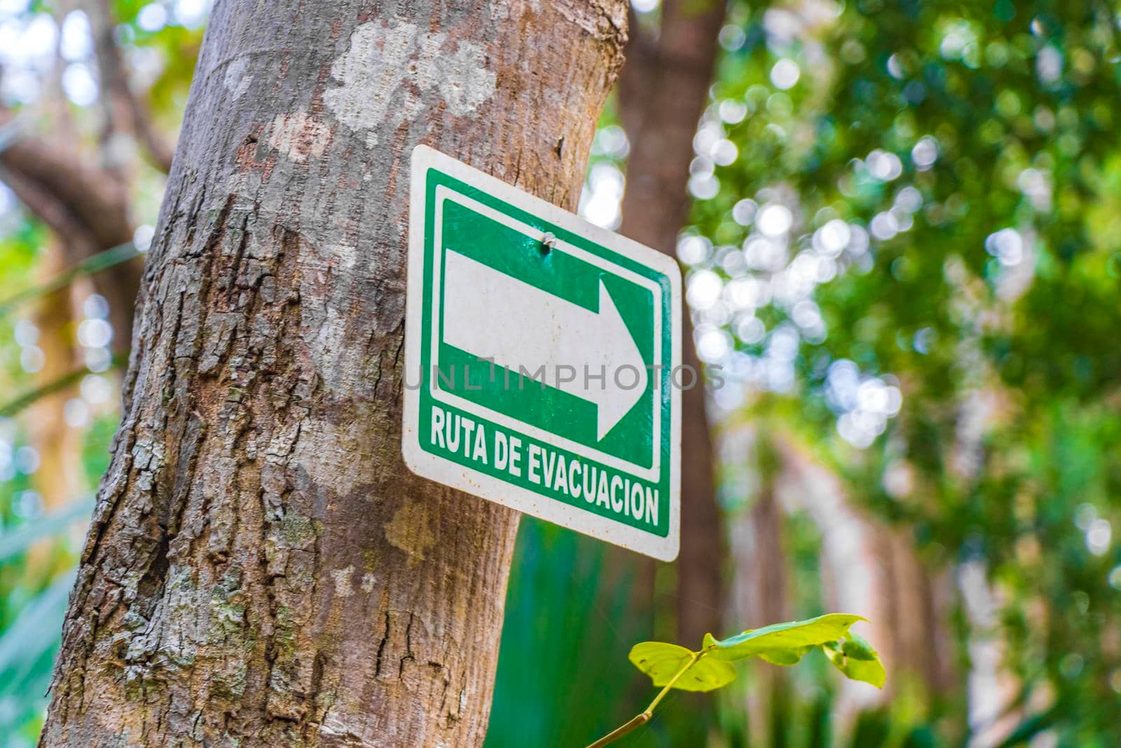 Muyil Mexico 04. February 2022 Information entrance evacuation route walking trails and welcome sing board with arrow to Santuario de los guerreros in Puerto Aventuras Quintana Roo Mexico.