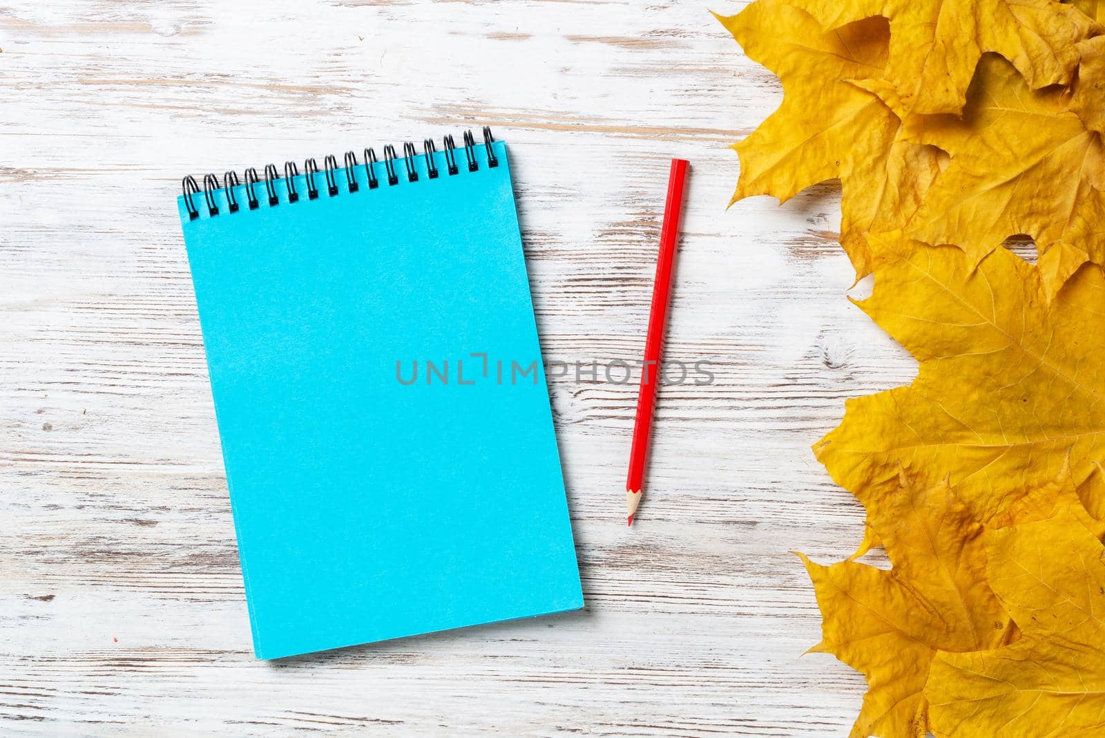 Spiral notepad and pen lies on vintage wooden desk with bright autumn foliage. Business and education concept. Flat lay with autumn leaves on white wooden surface. Blank notepaper with copy space.