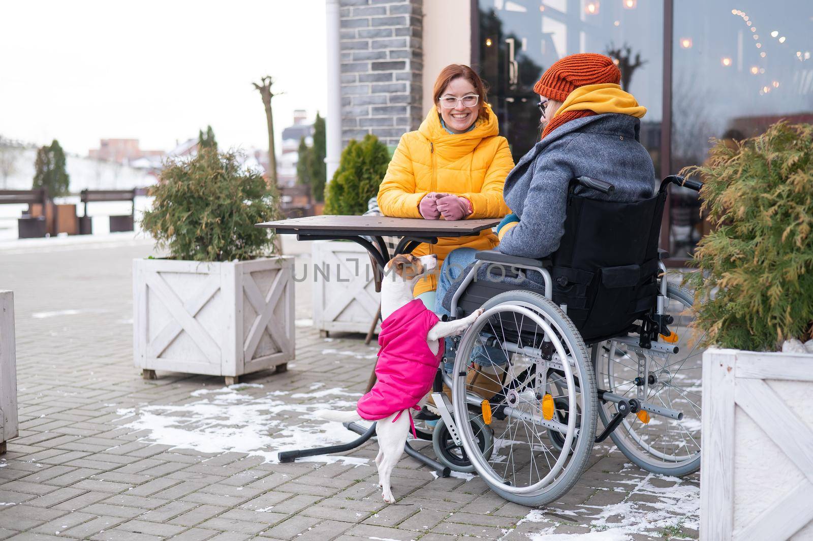 Two girlfriends in a cafe on a street terrace in winter. Woman in a wheelchair. by mrwed54