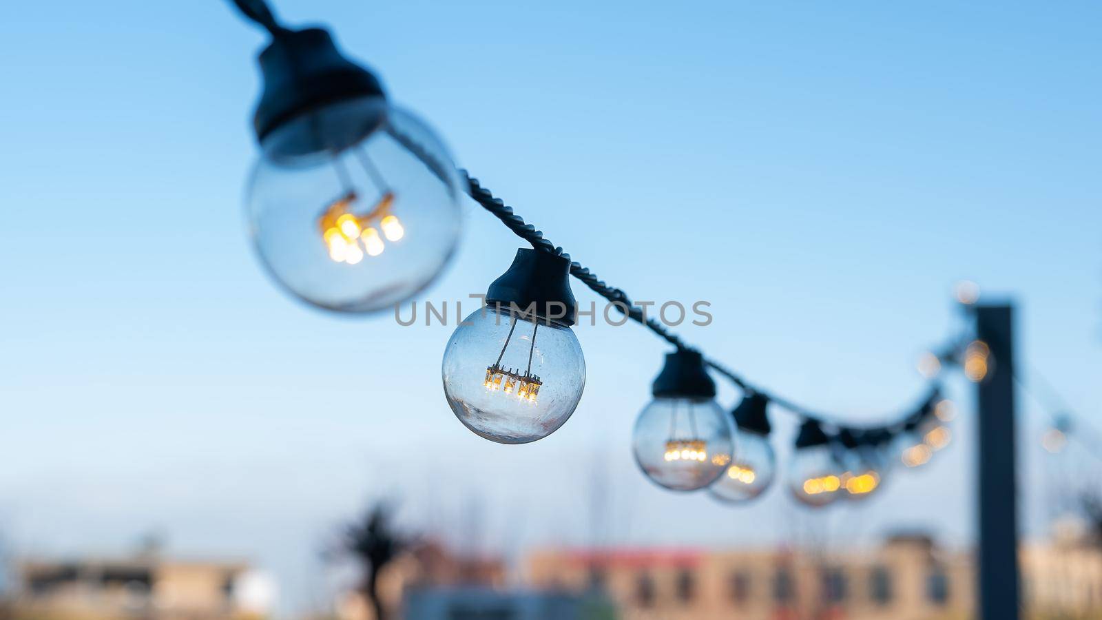 Garland of light bulbs in the park. by mrwed54