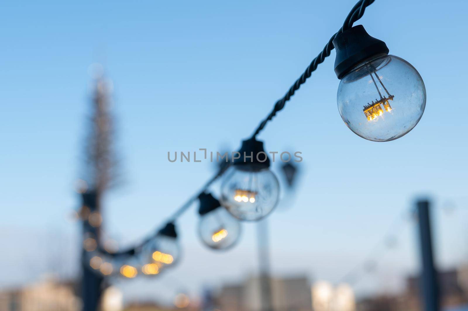 Garland of light bulbs in the park