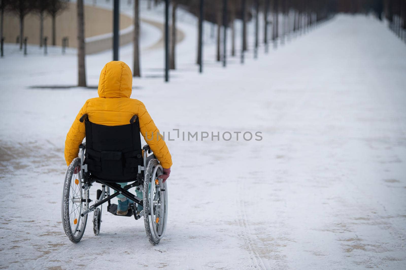 Caucasian woman with disabilities rides on a chair in the park in winter. Back view of a girl on a walk in a wheelchair. by mrwed54