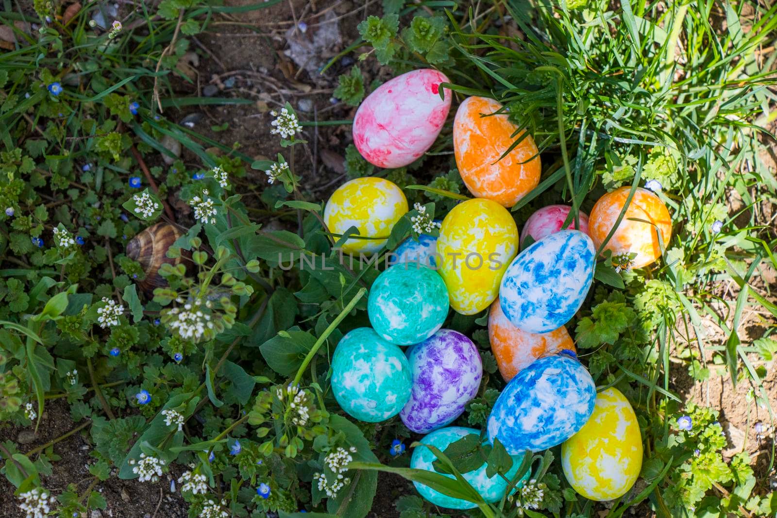 Happy Easter, colorful eggs and flowers. by Taidundua