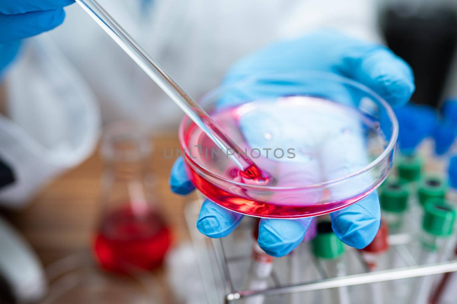 Scientist holding Petri dish in laboratory. by pamai