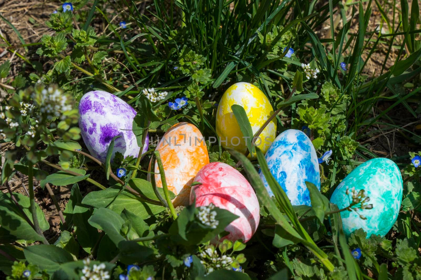 Happy Easter, colorful eggs and flowers. Grass and land.