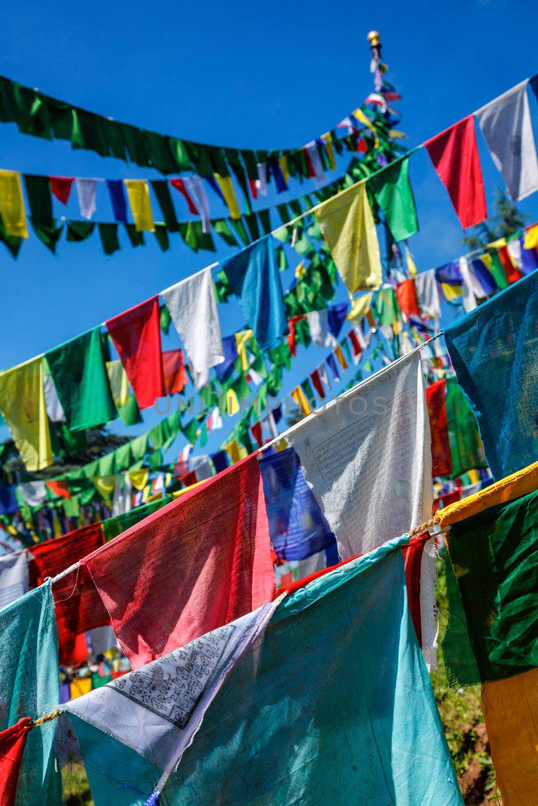 Buddhist prayer flags lungta with Om Mani Padme Hum Buddhist mantra prayer meaning Praise to the Jewel in the Lotus on kora around Tsuglagkhang complex. McLeod Ganj, Himachal Pradesh, India