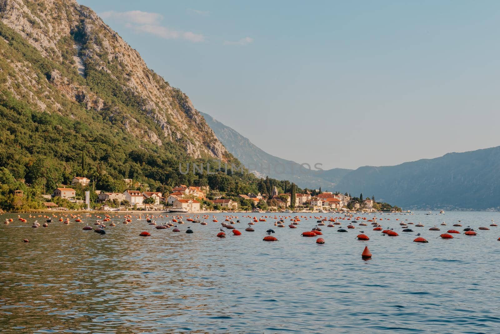 Oyster farm in the Bay of Kotor, Montenegro. High quality photo