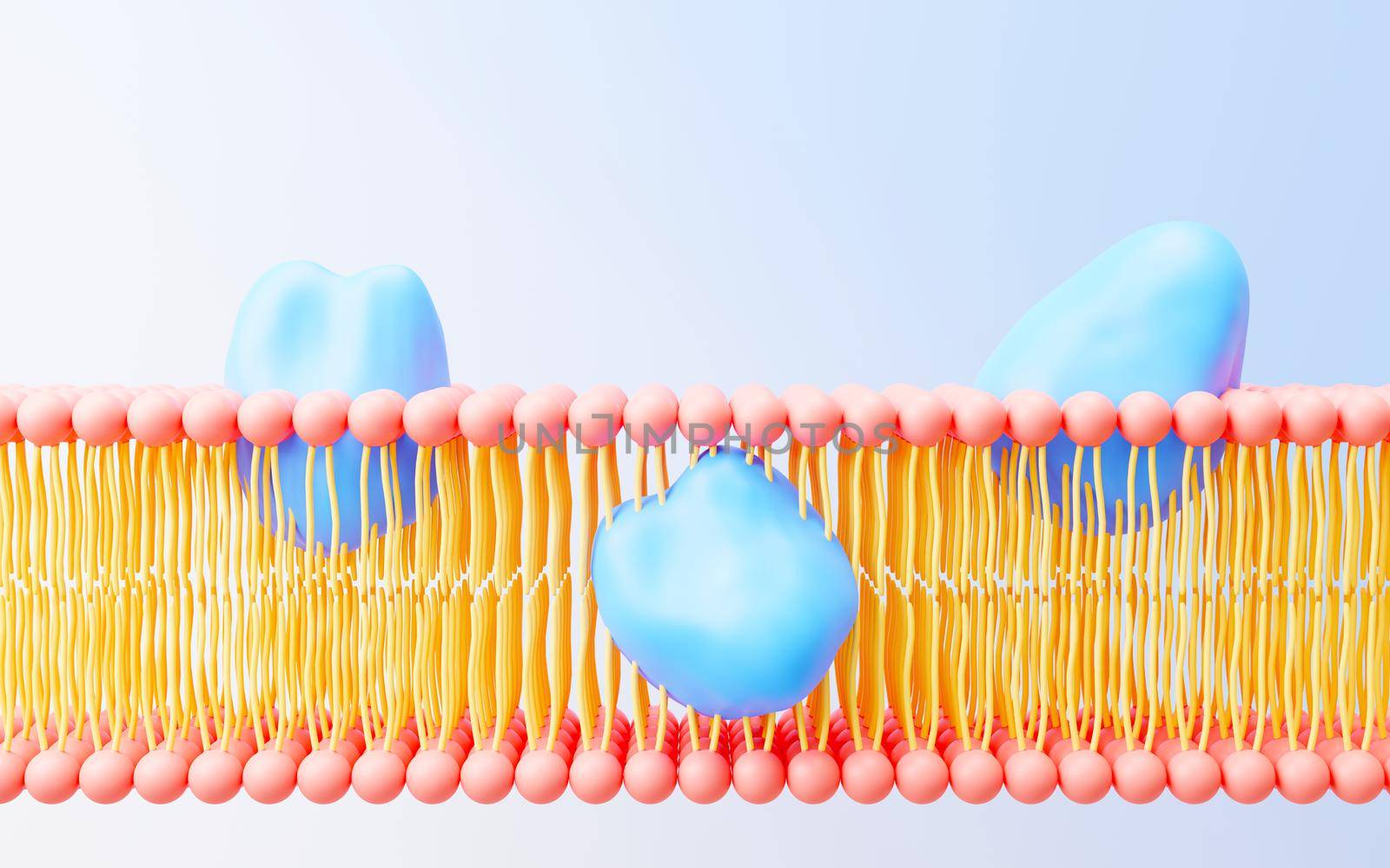 3d render cell membrane Phospholipid Bilayer. Layers of molecules. Gene expression. nucleotide database. Fluid mosaic model for education. Human gene. Plasma membrane structures.  by tanatpon13p