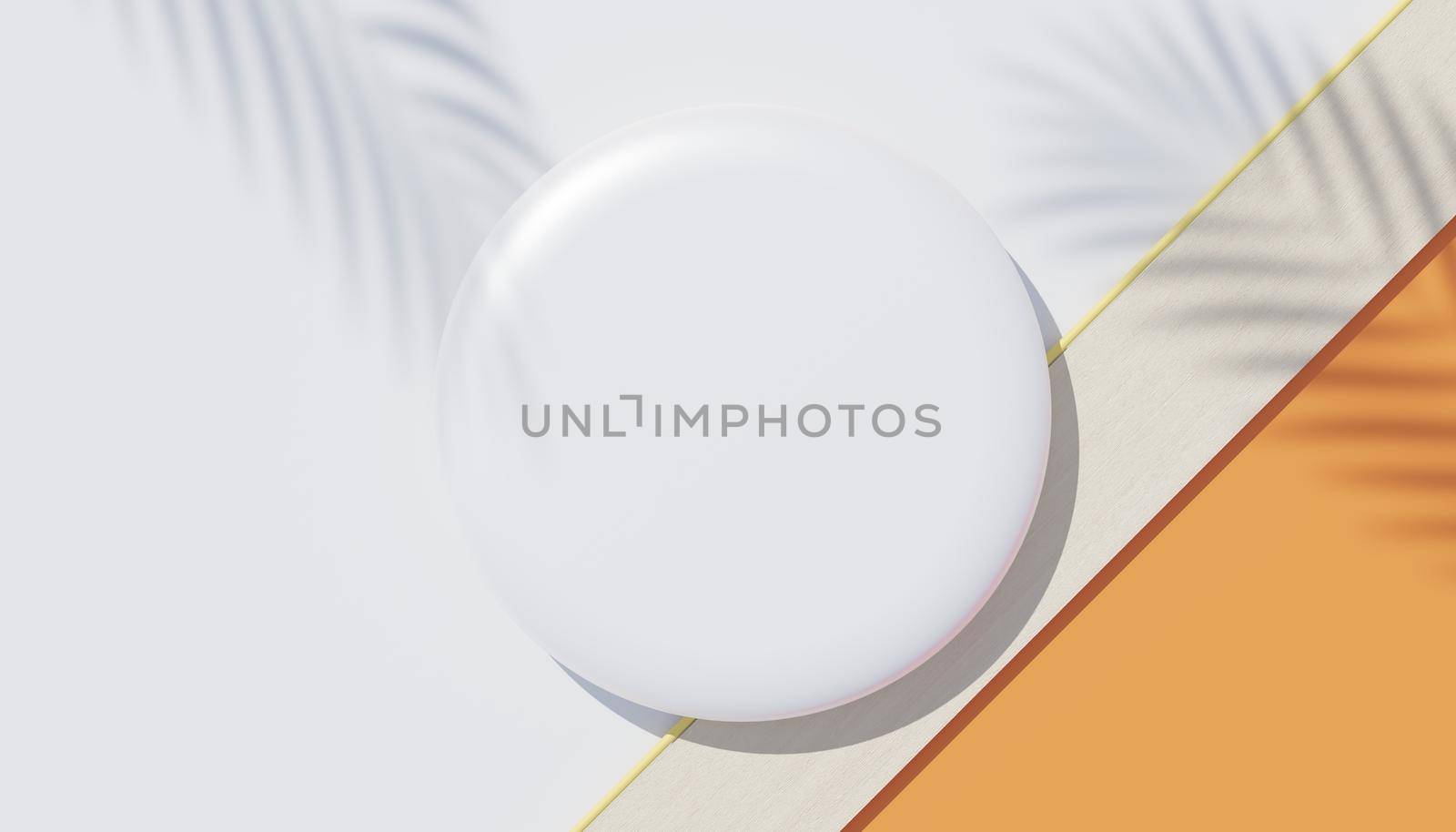 3d render top view of white blank cylinder frame for mock up and display products with shadows of palm leaves, earth tone, and pastel wall background. Creative idea concept. Widow shadow.