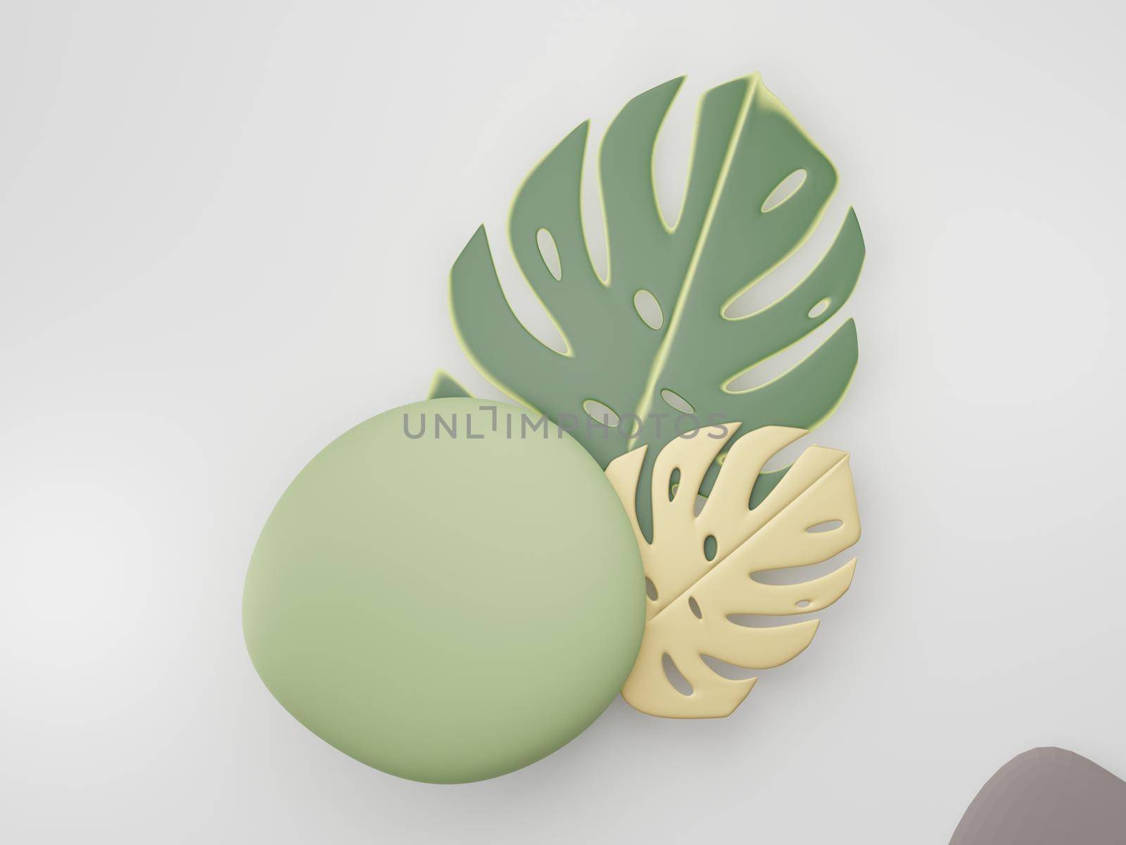 3d render of premium abstract geometric shapes and pastel luxury gravel decor with tropical leaves on white background.