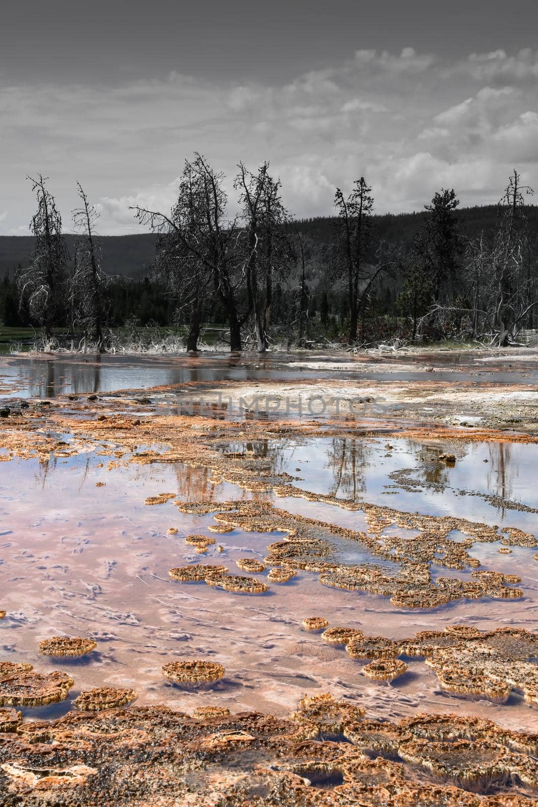 Yellowstone National Park Bacterial Pool steams mist